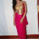 actress-sanjjanaa-galrani-photo-gallery-5