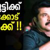 mammootty_busy